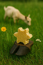 Healing Hoof
