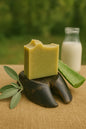 Milk and Marrow